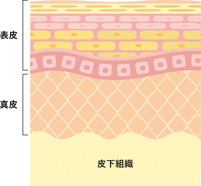 小じわができるメカニズム