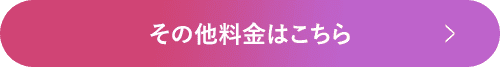 その他料金はこちら