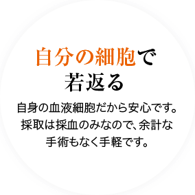 自分の細胞で若返る 自身の血液細胞だから安心です。採取は採血のみなので、余計な手術もなく手軽です。