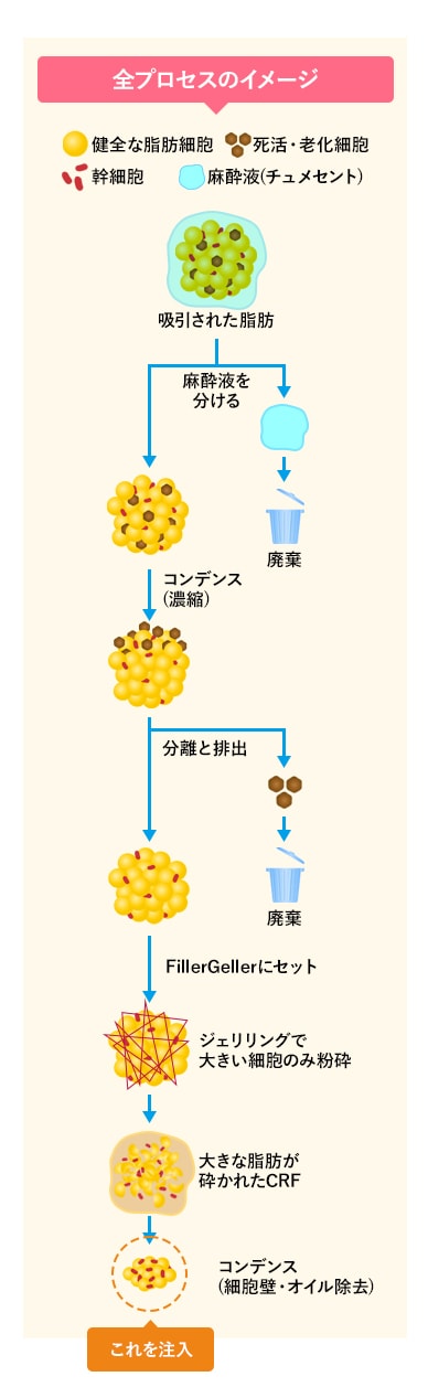 全プロセスのイメージ