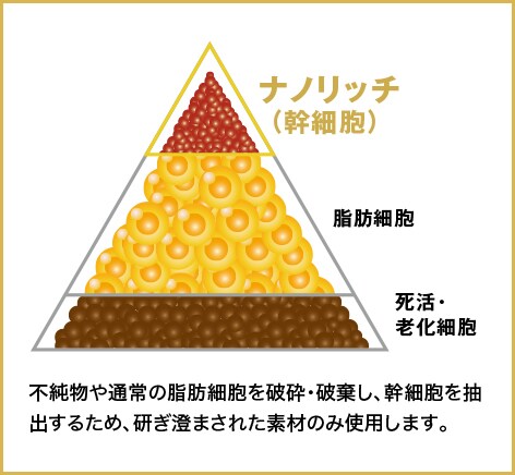 ナチュラル脂肪注射ナノリッチ（幹細胞）