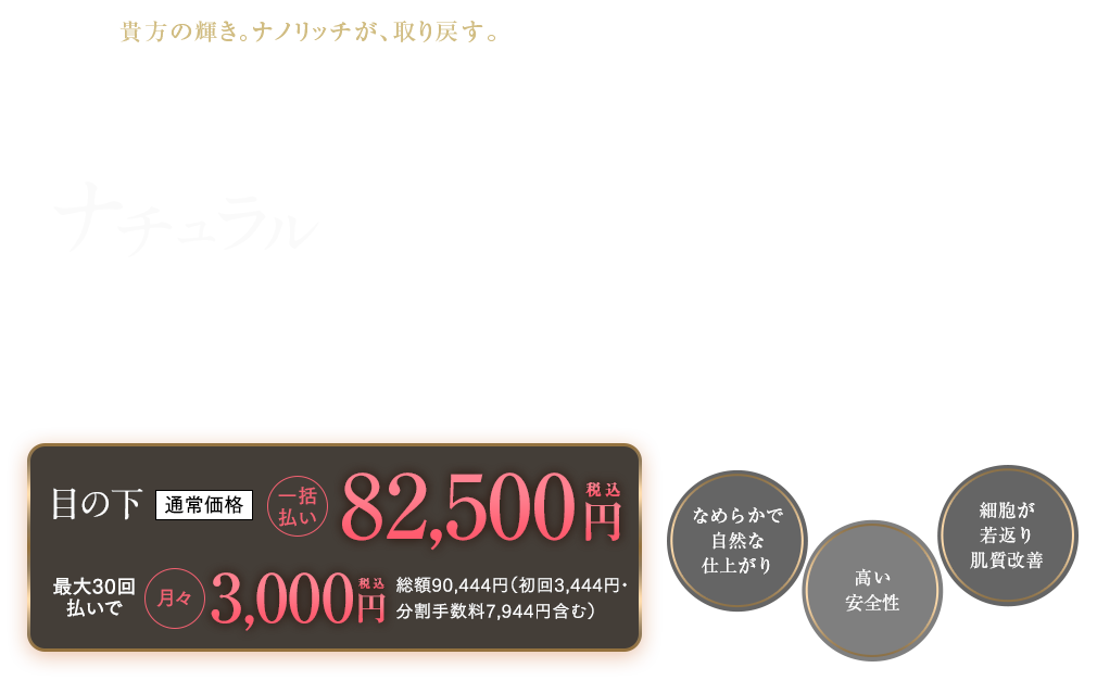 ナチュラル脂肪注射ナノリッチ