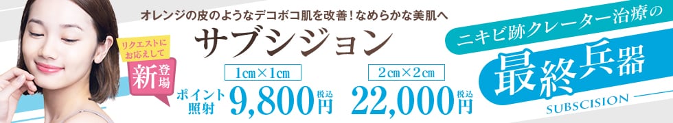 サブシジョン