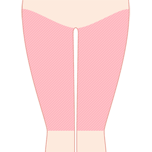 両膝上（両太もも）