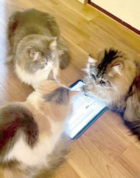 オフショット写真