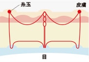 糸