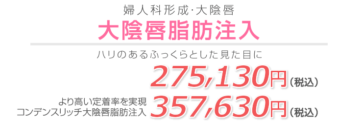 大陰唇脂肪注入