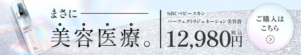 SBCオンラインストア