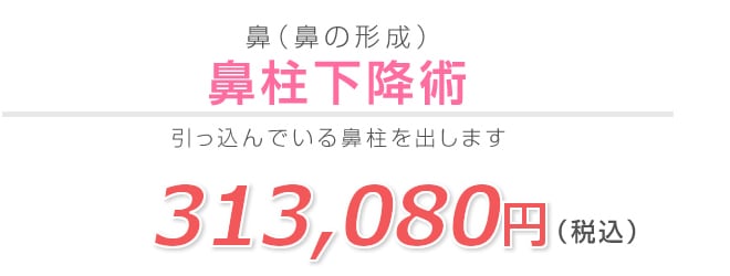 鼻柱下降術