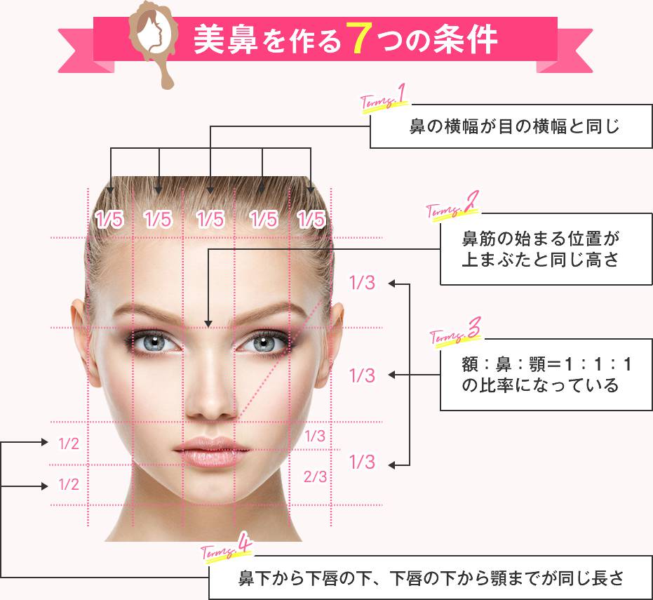 美鼻を作る7つの条件1～4