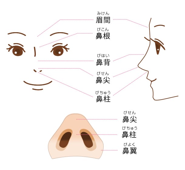 各部位の名称