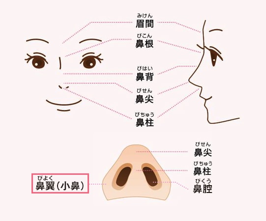 小鼻縮小術とは