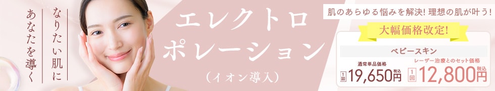 エレクトロポレーション（イオン導入）