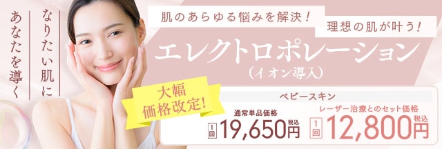 エレクトロポレーション（イオン導入）
