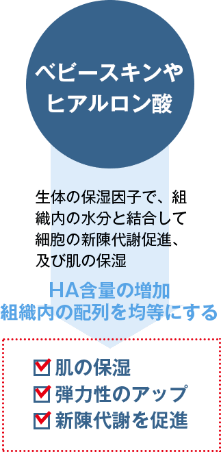 ベビースキンやヒアルロン酸