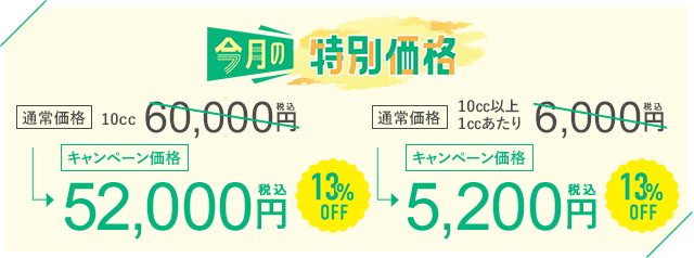 今月のキャンペーン
