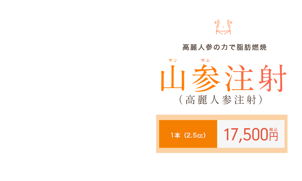 山参注射