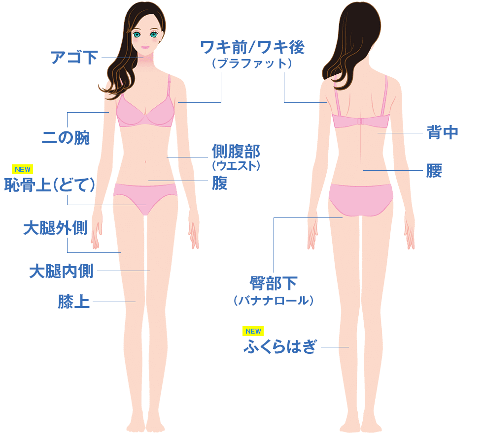 クールスカルプティング&reg; エリート（クルスカダブル）の施術対象部位