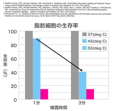 脂肪細胞の生存率 グラフ画像