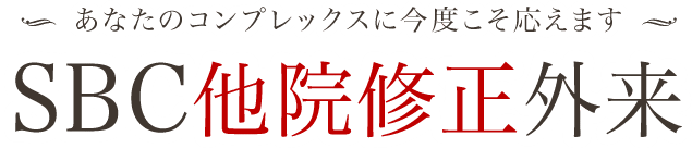 他院修正