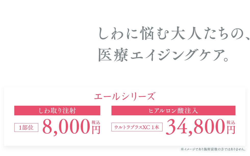 エールシリーズ